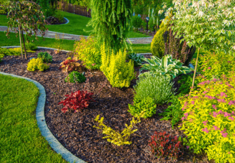 Landscaping Bark: The Secret to Low-Maintenance & Eco-Friendly Landscapes