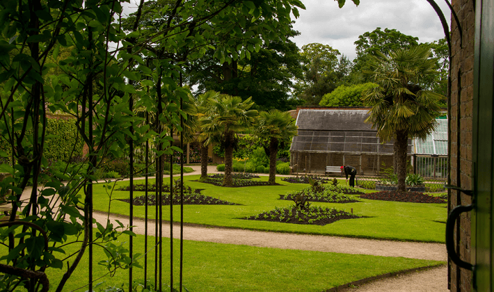 Breedon Golden Amber Gravel used as a pathway.