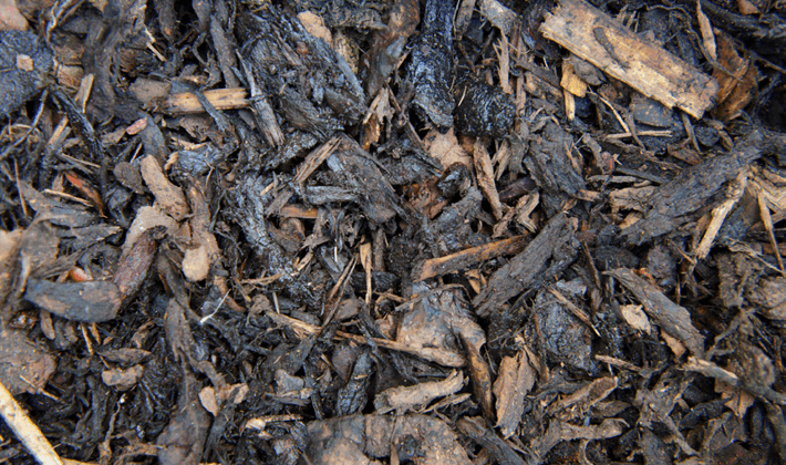 Loose display of ornamental bark, mid-brown in colour, containing conifer and spruce.